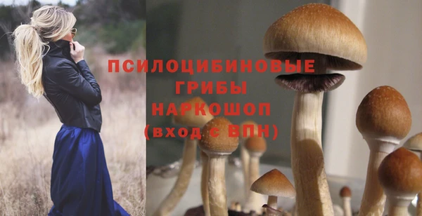 винт Арсеньев