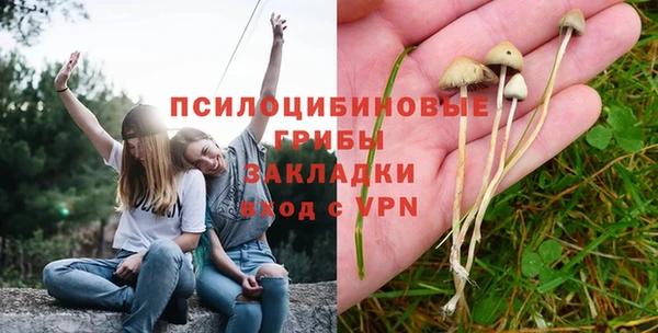 винт Арсеньев