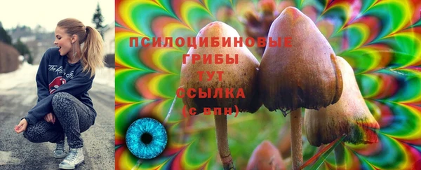 винт Арсеньев