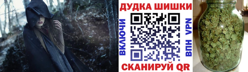 Каннабис семена  где найти наркотики  Суровикино 